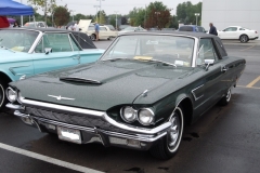 Black_65_BestOfShow2