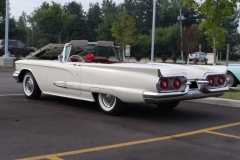White_59_1