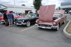 G1_002 dusky rose 57 tbird