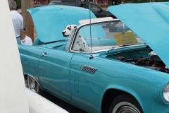 G1_004 Lt Blue 56 Tbird