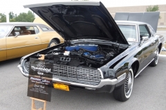 g3_017 dealers choice 68 landau