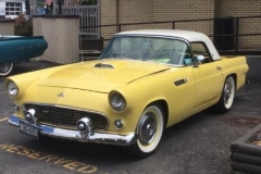 Trautman_1955