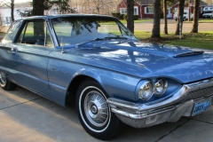 Gattie2